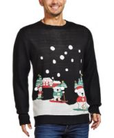 Снимка на Мъжки пуловер