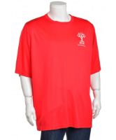 Снимка на Мъжка тениска