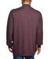 Снимка на Мъжки пуловер