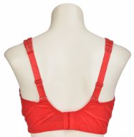 Снимка на Сутиен