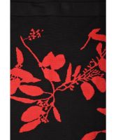 Снимка на Пола