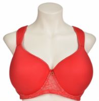 Снимка на Сутиен