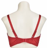 Снимка на Сутиен