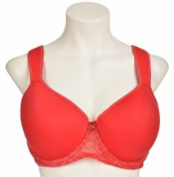 Снимка на Сутиен