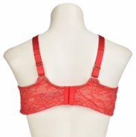 Снимка на Сутиен