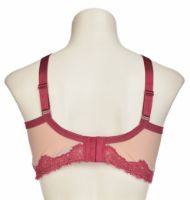 Снимка на Сутиен