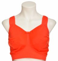 Снимка на Сутиен