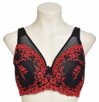 Снимка на Сутиен