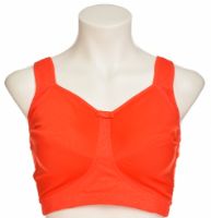 Снимка на Сутиен