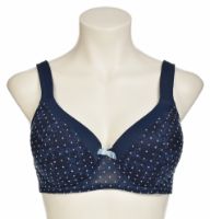 Снимка на Сутиен