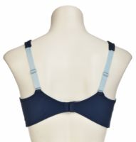 Снимка на Сутиен