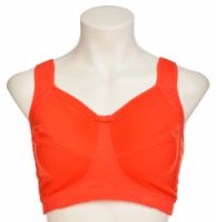 Снимка на Сутиен