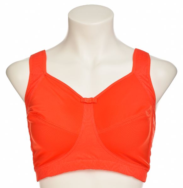 Снимка на Сутиен