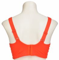 Снимка на Сутиен