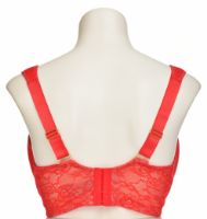 Снимка на Сутиен