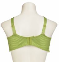 Снимка на Сутиен