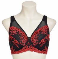 Снимка на Сутиен