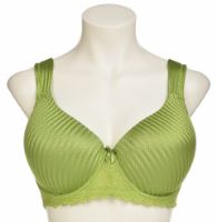 Снимка на Сутиен