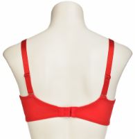 Снимка на Сутиен