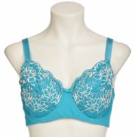 Снимка на Сутиен