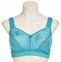 Снимка на Сутиен