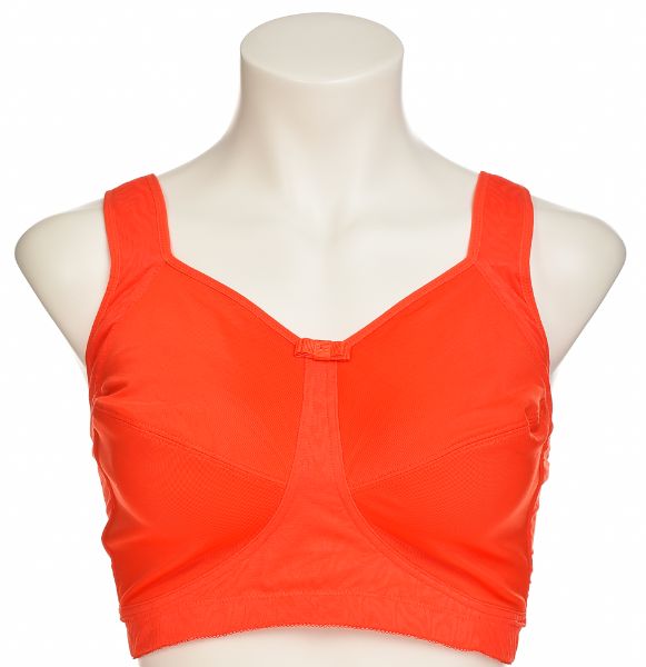 Снимка на Сутиен