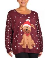 Снимка на Дамски пуловер