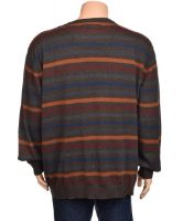 Снимка на Мъжки пуловер