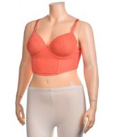 Снимка на Сутиен