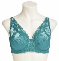 Снимка на Сутиен