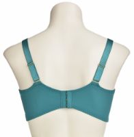 Снимка на Сутиен