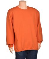 Снимка на Мъжка блуза