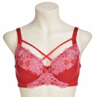 Снимка на Сутиен