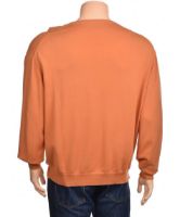 Снимка на Мъжки пуловер