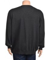 Снимка на Мъжки пуловер