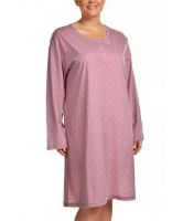 Снимка на Нощница