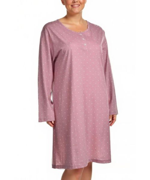 Снимка на Нощница