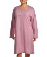 Снимка на Нощница