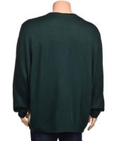 Снимка на Мъжки пуловер