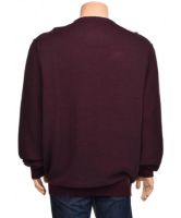 Снимка на Мъжки пуловер