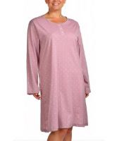 Снимка на Нощница