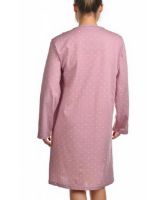 Снимка на Нощница