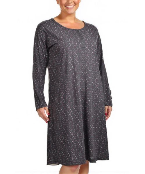 Снимка на Нощница