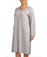 Снимка на Нощница