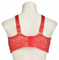 Снимка на Сутиен