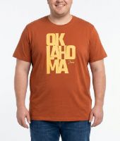Снимка на Мъжка тениска